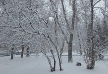 Небольшое похолодание в субботу обещают синоптики рязанцам